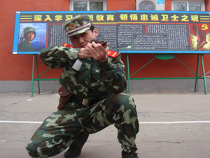 铜陵保镖公司